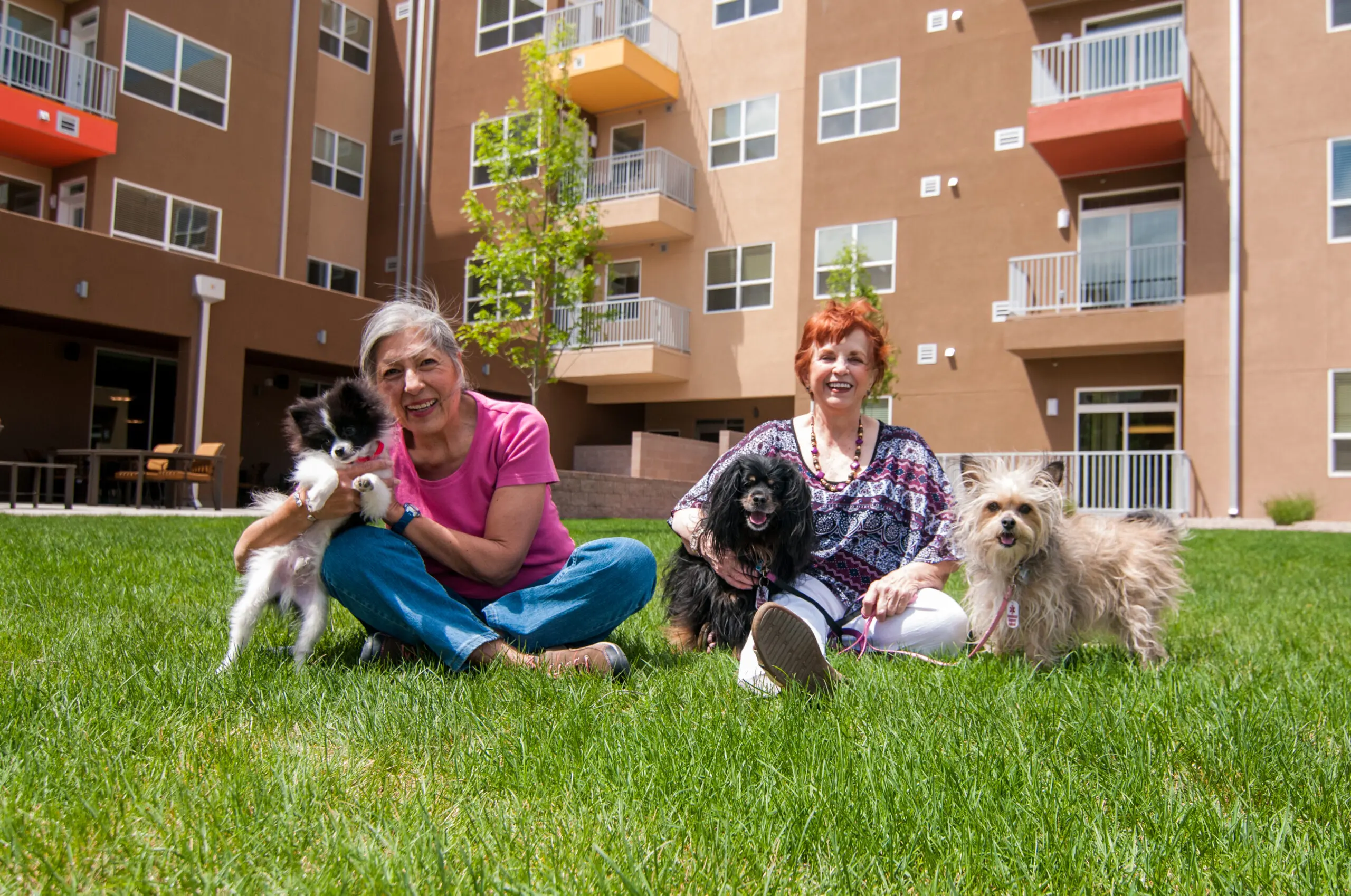 Enjoy one of our many open Courtyards with your furry and not so furry friends